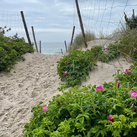 Coral * グジボボ