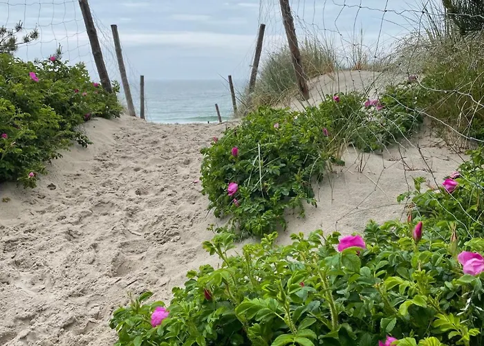 Coral * Grzybowo (West Pomeranian)