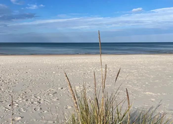 Coral Διαμέρισμα